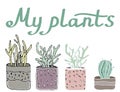 Sety cosy vector illustration elements - potted plants.